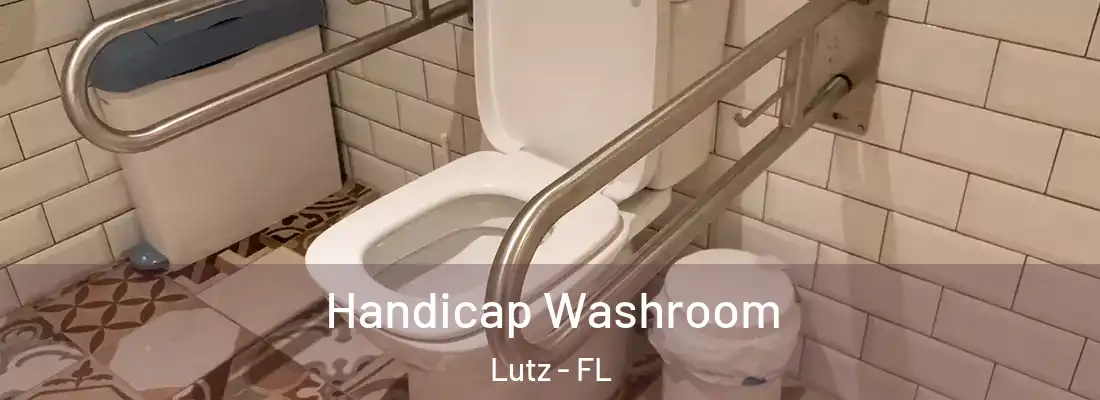 Handicap Washroom Lutz - FL