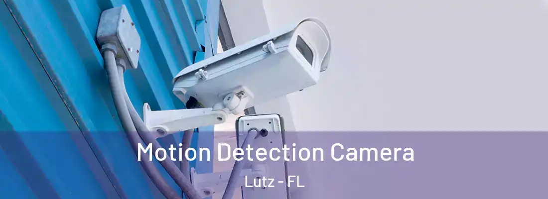 Motion Detection Camera Lutz - FL