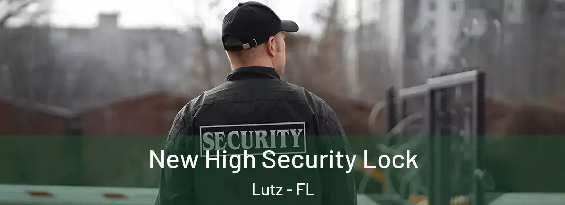  New High Security Lock Lutz - FL