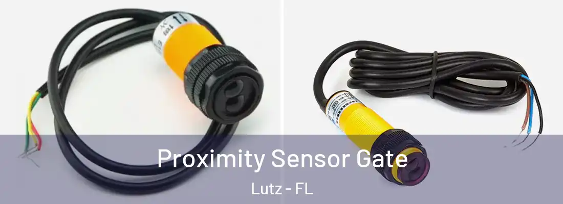 Proximity Sensor Gate Lutz - FL