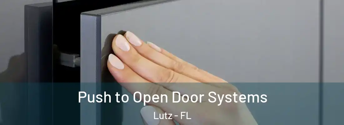 Push to Open Door Systems Lutz - FL